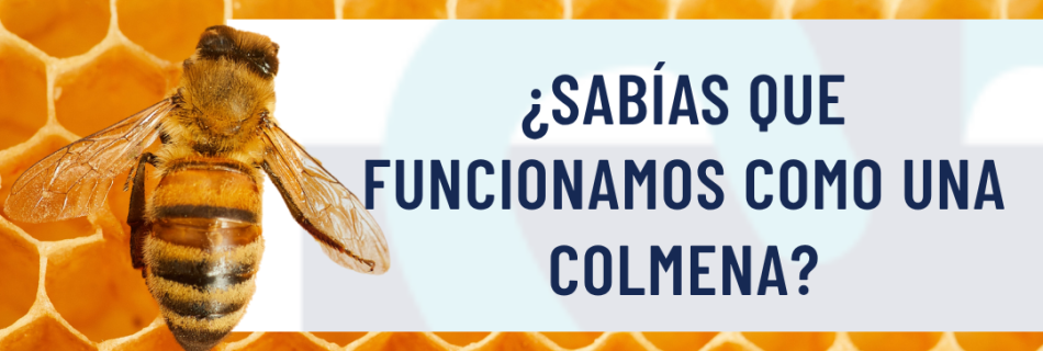 Analogía de la colmena| Conferencias e instrucciones de SME